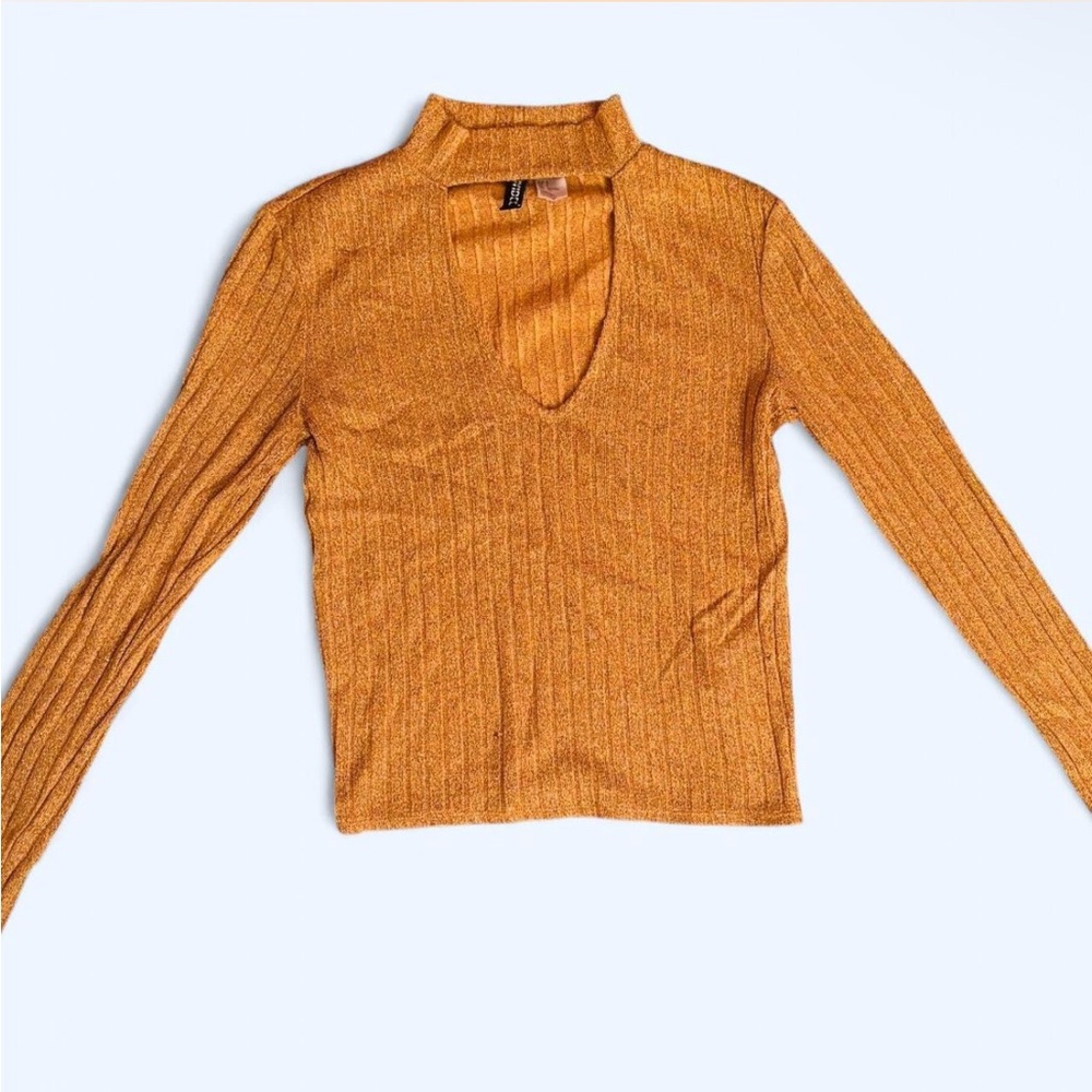 Ribbed V-Neck Long Sleeve Top in Gold